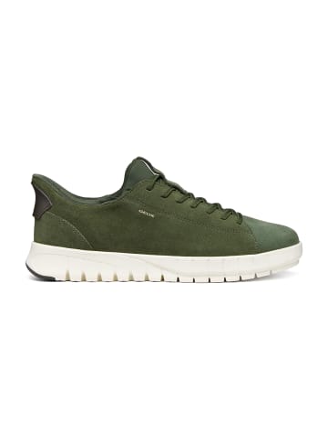 Geox Sportliche Schnürschuhe in Oliv