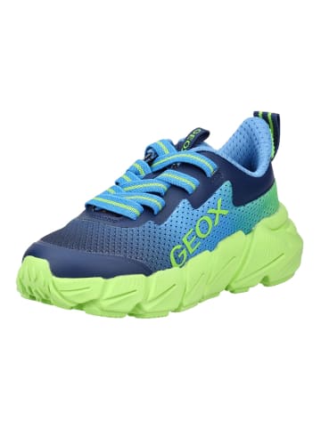 Geox Sneaker in Blau/Lime