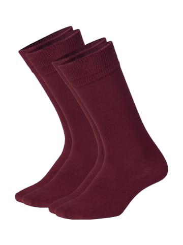 DillySocks Socken D-Compose 2er Set in dark red