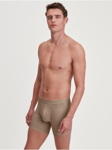 Calida Boxer Brief in invisible