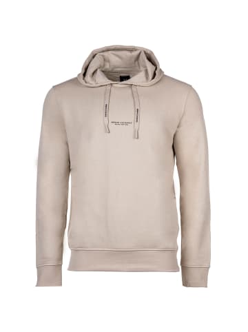 Armani Exchange Sweatshirt in Beige (Silver Lining)