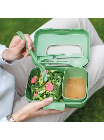 koziol CANDY READY - Lunchbox-Set + Besteck-Set in nature leaf green