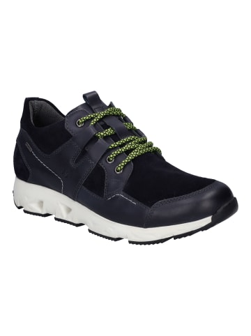 Josef Seibel Sneaker Noah in ocean