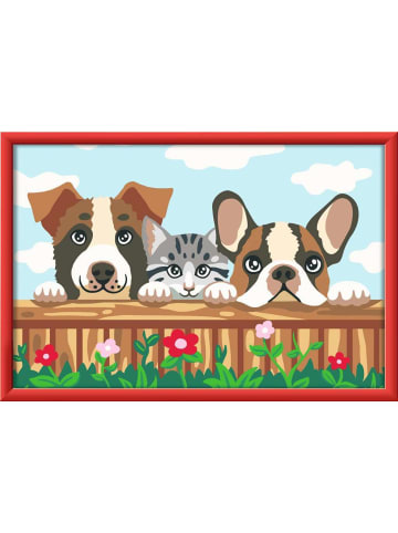 Ravensburger Malprodukte CreArt, Malen nach Zahlen Kinder - Hunde und Katze Ab 11 Jahre in bunt