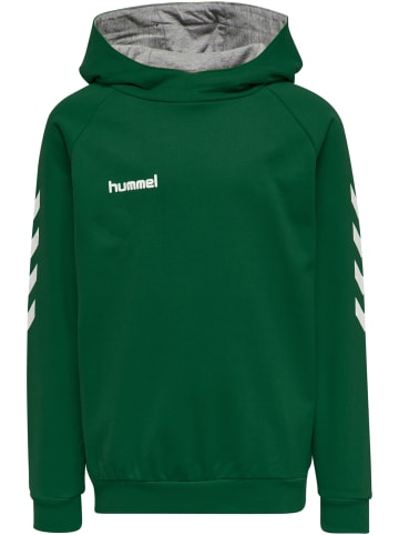 Hummel Hummel Cotton Kapuzenpullover Hmlgo Multisport Kinder in EVERGREEN