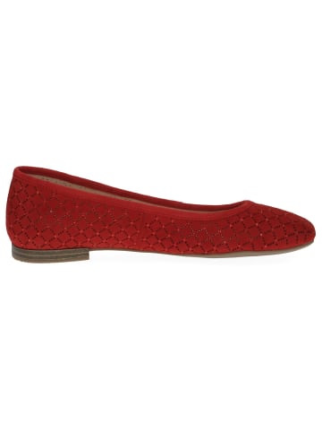 Caprice Ballerina in RED SUEDE