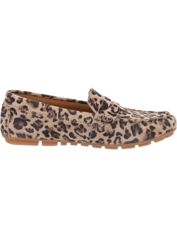 Palado Slipper Hucor in Leo