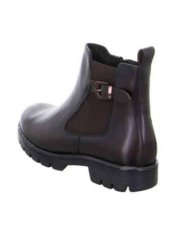 ara Ankle Boots in Braun