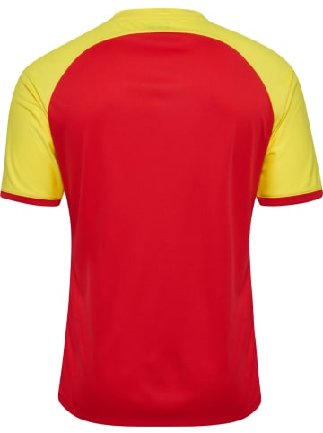 Hummel T-Shirt "Match League Jersey S/S" in Rot