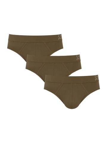 Sloggi Slip Briefs in BEECH