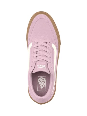 Vans Sneaker 'Brooklyn' in rosa