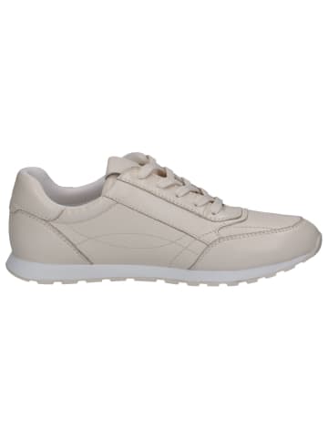 Caprice Sneaker in VANILLA SOFTN.