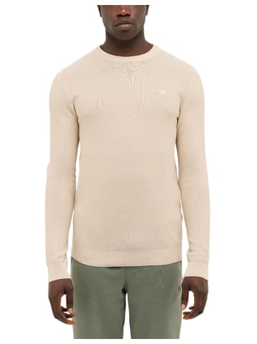 Mustang Sweatshirt in Beige
