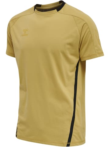 Hummel T-Shirt Raglanärmel Hmlcima Erwachsene in ANTIQUE GOLD