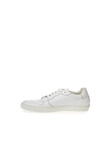 Roberto Cavalli Weiß Leder Low Top Sneaker
