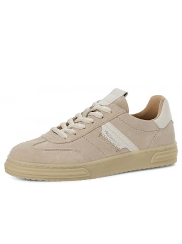 Tamaris Sneaker  in Beige