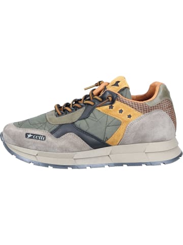 Cetti Sneakers Low in ante star kaki