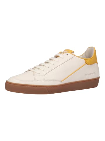 Högl Sneaker in Creme