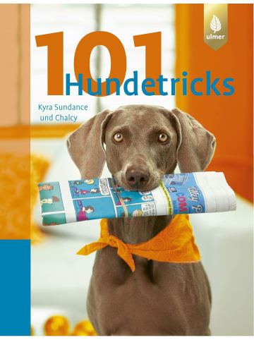 Ulmer 101 Hundetricks