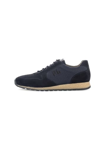 Pius Gabor Sneaker low in blau