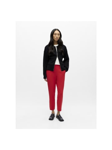 Object Hose in poinsettia