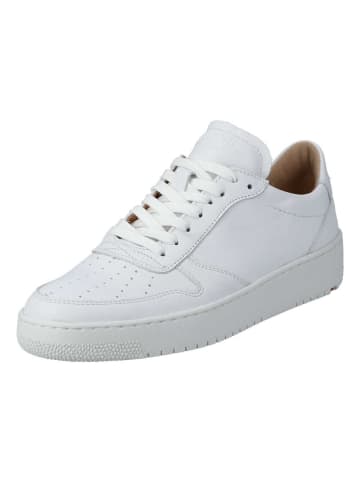 LLOYD Sneaker Camy in WHITE