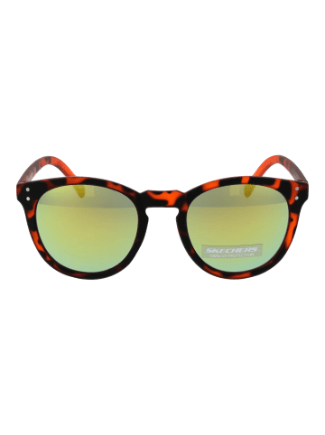 Skechers Männer Sonnenbrille Panto Havanna