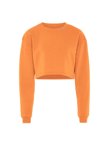 hoona Sweatshirt in Aprikose