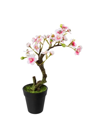 Creativ green 2er Set: Deko-Mandelbonsai im Topf