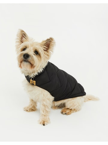 Threadbare Hundemantel THB Gandey Jacket in Schwarz