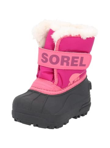 Sorel Winterstiefel in Tropic Pink