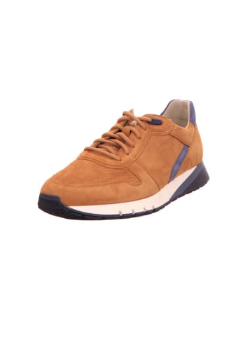 Gabor Sneaker für Herren in gelb