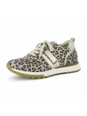 Paul Green Sneaker in Bunt