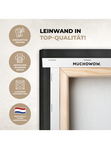 MuchoWow Leinwand bilder Löwenzahn (BxH)