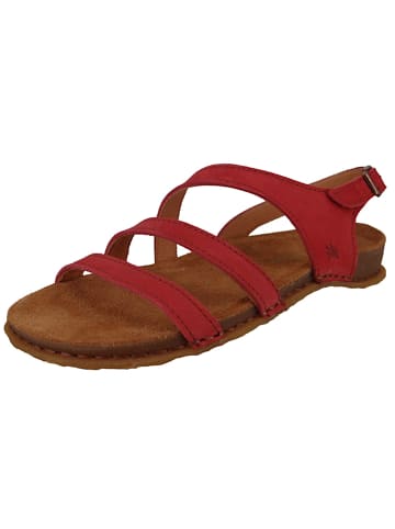 El Naturalista Sandalen rot