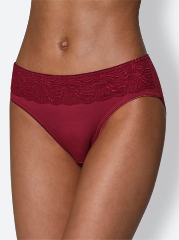 WITT WEIDEN Jazzpants in 2x kirsche