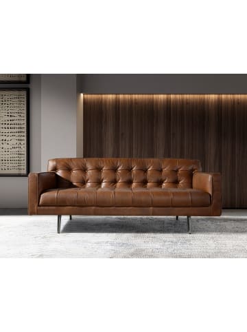 Angel Cerdá Chester-Sofa 6224 in Dunkelbraun / Dunkler Stahl