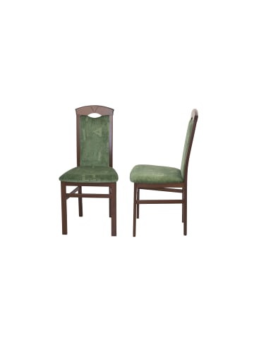 möbel-direkt Esszimmerstuhl (2 Stück) Massivholzstuhl in Nussbaum/grün