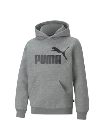 Puma Sweatshirt in Grau