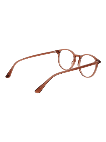 Web Unisex Optische Fassungen Panto Braun