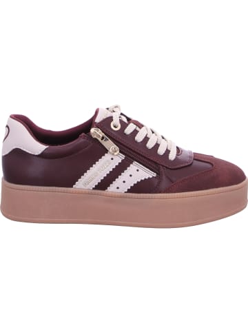 Marco Tozzi Schnürschuhe in BORDEAUX COMB
