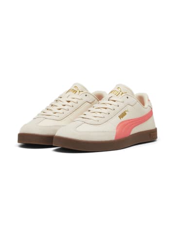 Puma Lowtop-Sneaker Club II Era in alpine snow-fluro peach pes-gum
