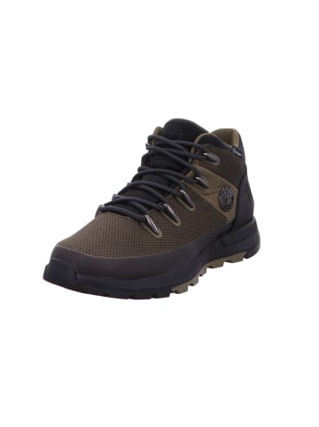 Timberland Schnürschuh in oliv