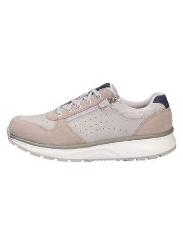 Joya SchnĆ¼rschuh DYNAMO ZIP W BEIGE in beige