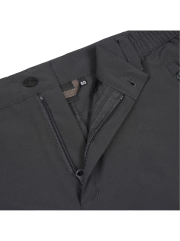 Icepeak Ballard 3/4 Hose in Grau