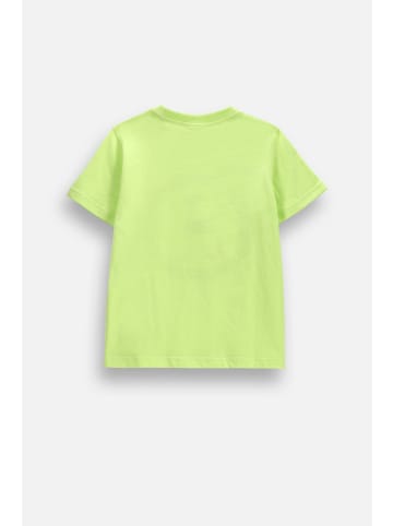 Coccodrillo Baumwoll-T-Shirt mit kurzen Ärmeln in limonengrün