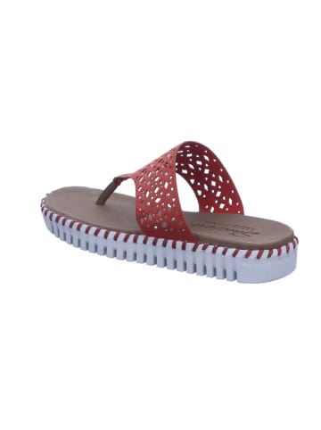 Skechers Zehentrenner SEPULVEDA - LARKSPUR in coral