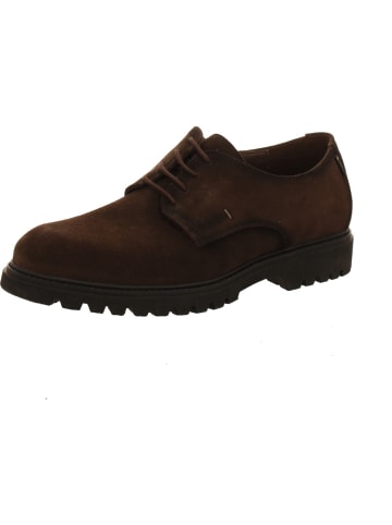LLOYD Schnürschuhe in braun