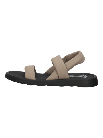 Fly London Sandalen in Grau