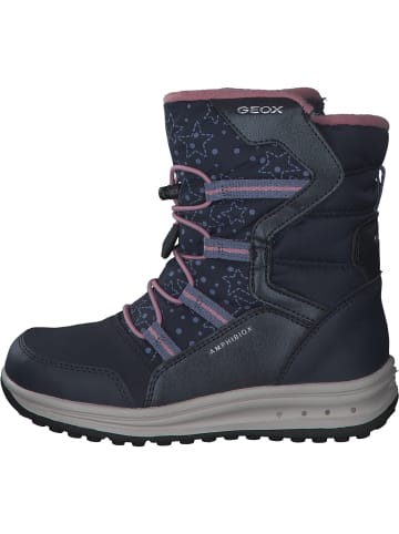 Geox Stiefeletten in NAVY/ROSE